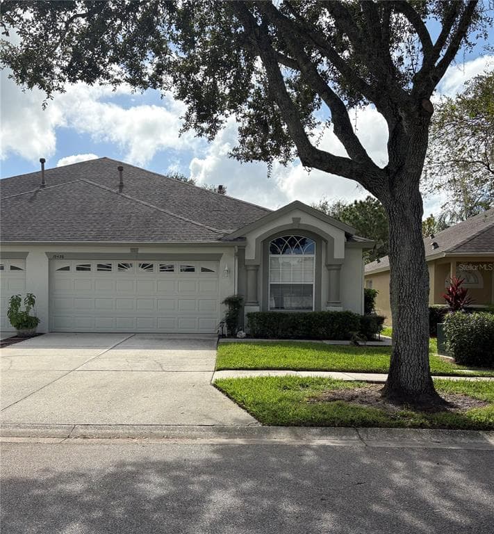 19436 HASKELL PLACE LAND O LAKES, FL 34638