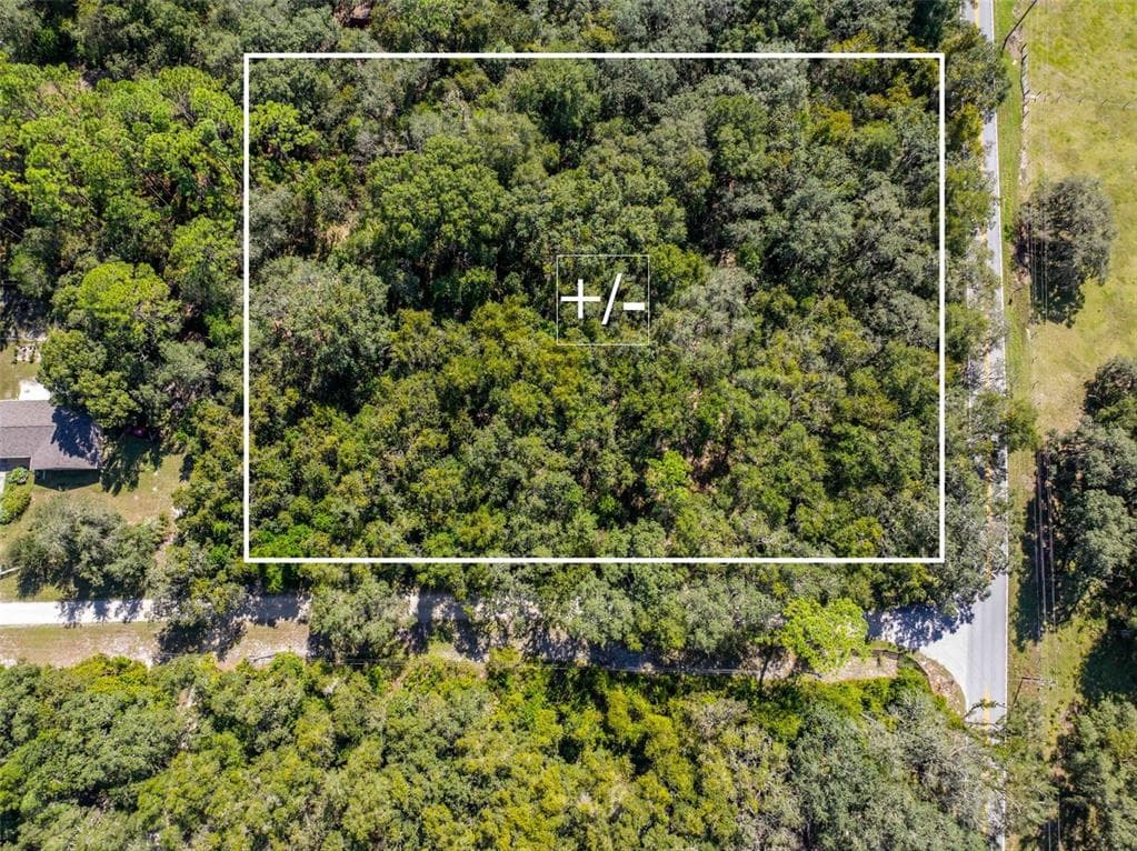 11420 E STEAMBOAT DRIVE FLORAL CITY, FL 34436