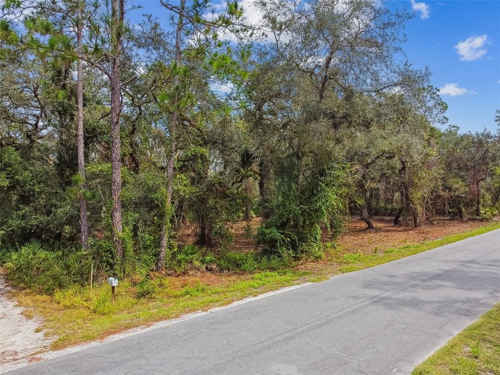 5466 AND 5476 CYRIL DRIVE DADE CITY, FL 33523