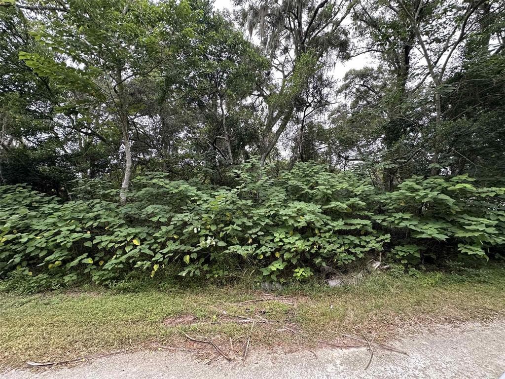 JENKINS AVENUE BROOKSVILLE, FL 34604