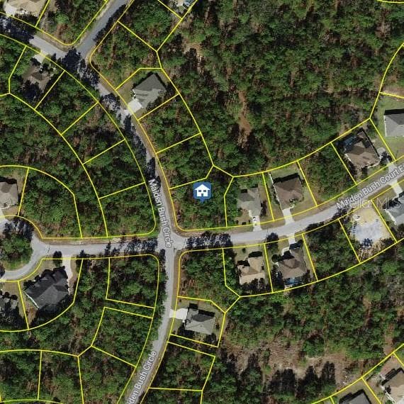 2 MAIDENBUSH COURT E HOMOSASSA, FL 34446