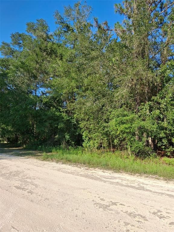 13378 CANYON SWALLOW ROAD WEEKI WACHEE, FL 34614