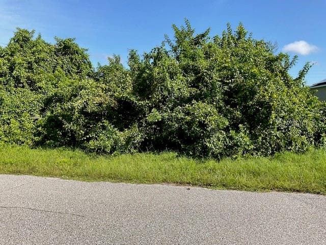 236 BERTHOUD STREET PORT CHARLOTTE, FL 33953