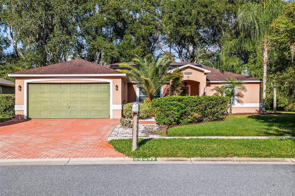24437 PAINTER DRIVE LAND O LAKES, FL 34639