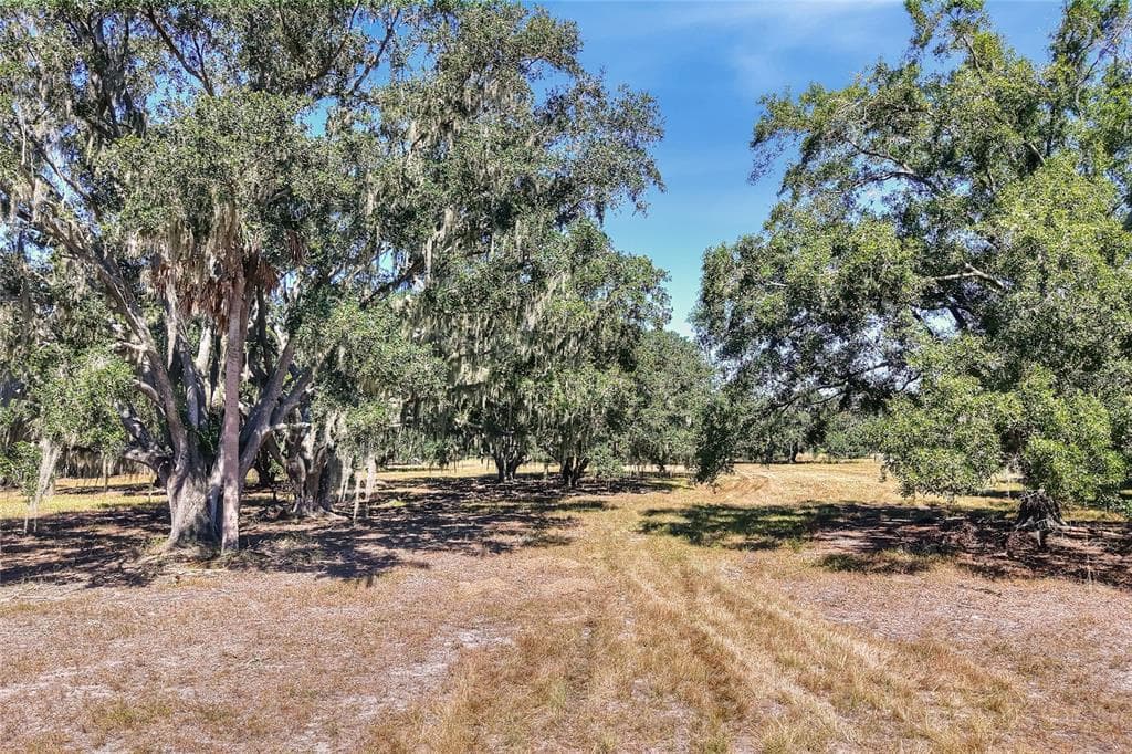 470 MOCCASIN HOLLOW ROAD LITHIA, FL 33547