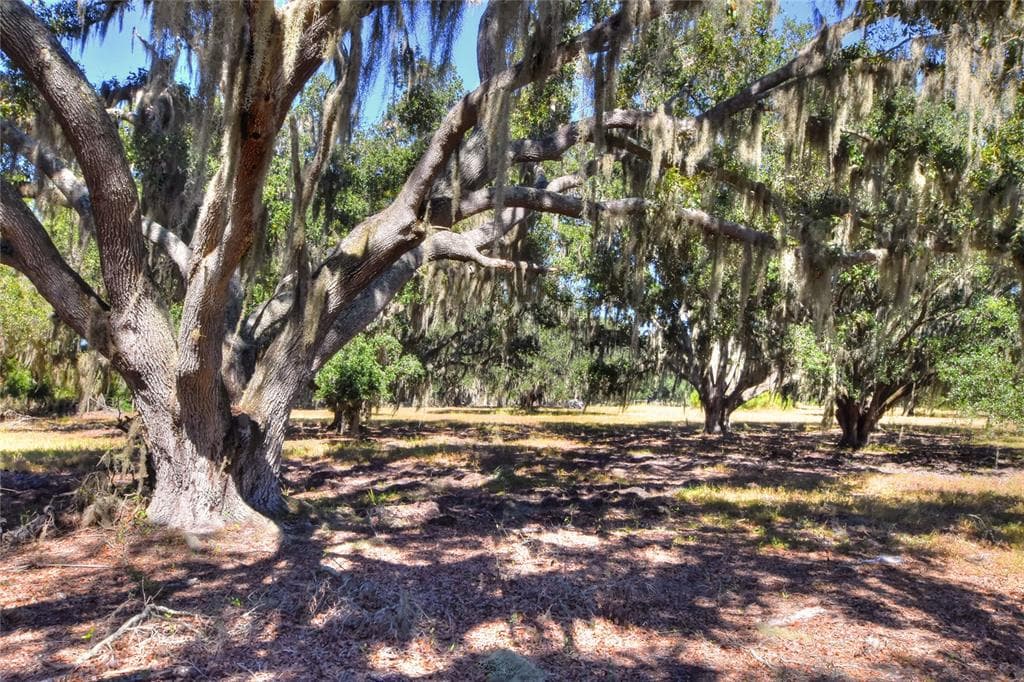480 MOCCASIN HOLLOW ROAD LITHIA, FL 33547