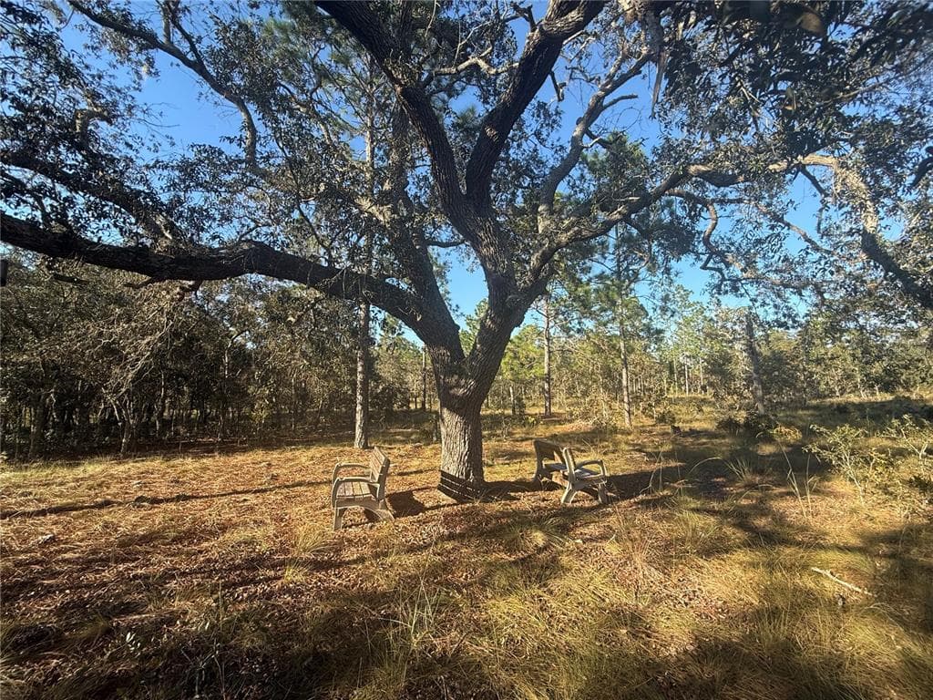00 SE 73RD LANE MORRISTON, FL 32668