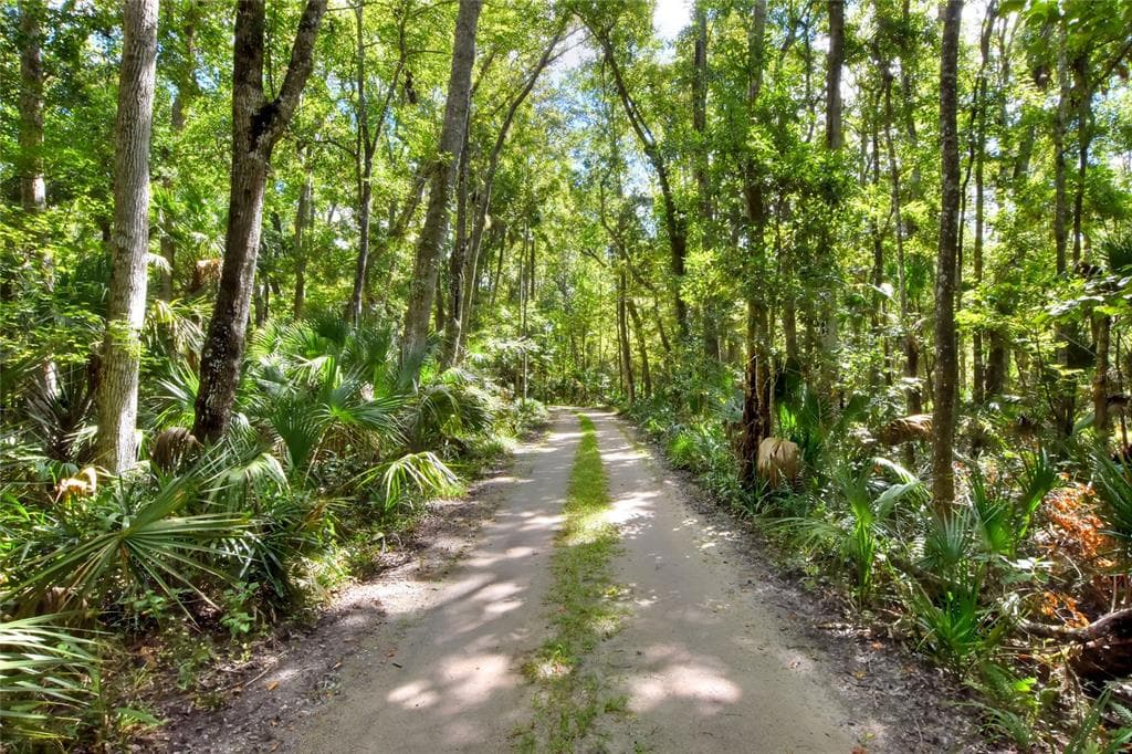 PINE ISLAND DRIVE WEEKI WACHEE, FL 34613