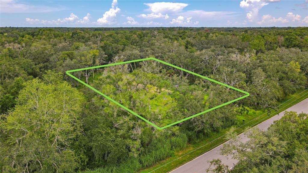 17247 LAWLESS ROAD SPRING HILL, FL 34610