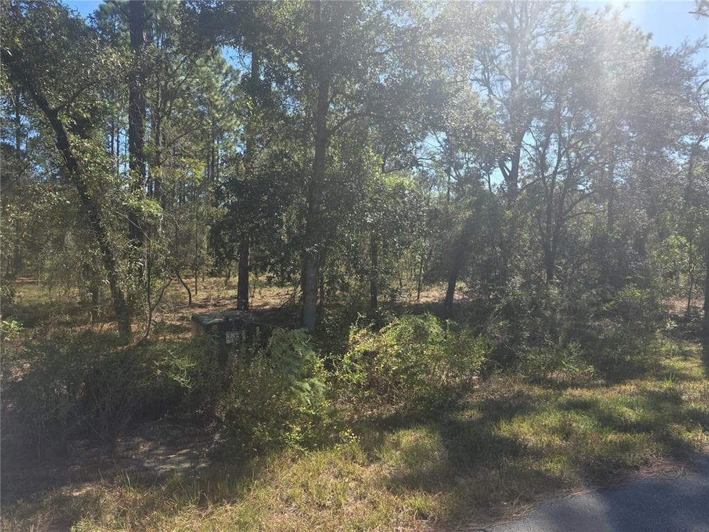 Lot 30 NW HOLLY ROAD DUNNELLON, FL 34431