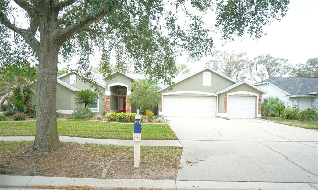 3807 TURKEY OAK DRIVE VALRICO, FL 33596
