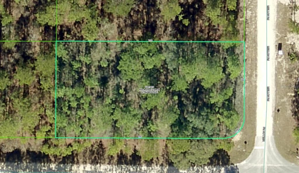 11269 TINAMOU AVENUE BROOKSVILLE, FL 34614
