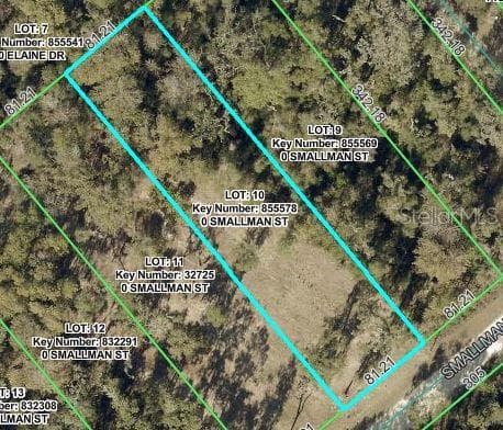 SMALLMAN STREET WEBSTER, FL 33597