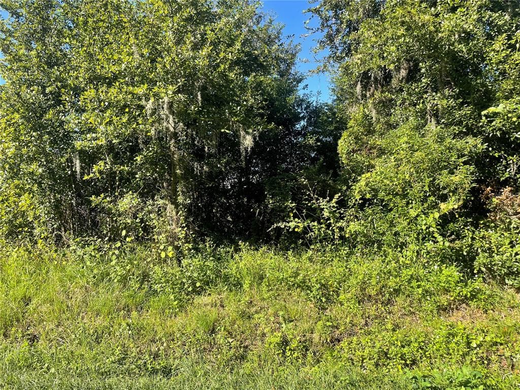 PEVETTY DRIVE PLANT CITY, FL 33563