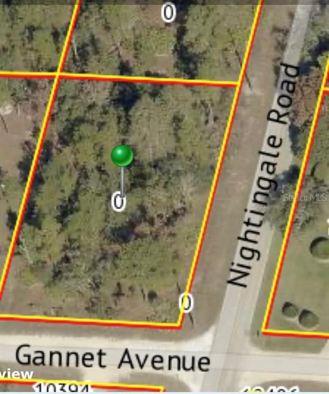 9021 NIGHTINGALE ROAD WEEKI WACHEE, FL 34613