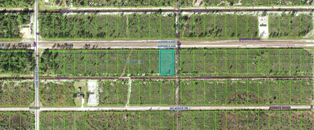 501 JAPONICA AVENUE INDIAN LAKE ESTATES, FL 33855