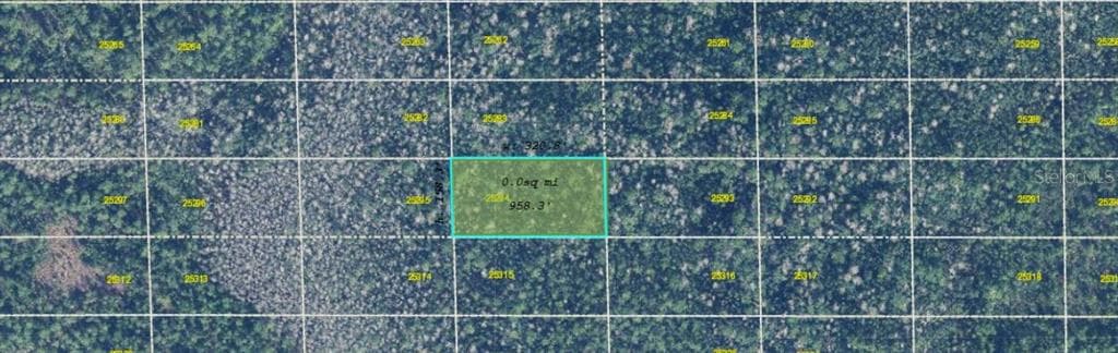 DILL ROAD ORLANDO, FL 32820