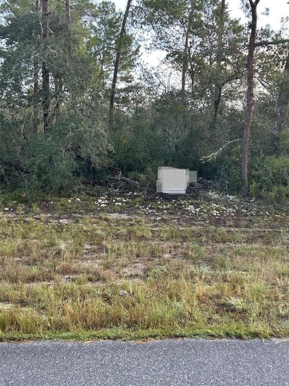 17213 SW 28TH AVENUE OCALA, FL 34473