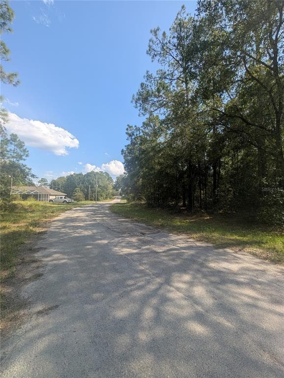 10484 N HOLCOMB DRIVE CITRUS SPRINGS, FL 34434