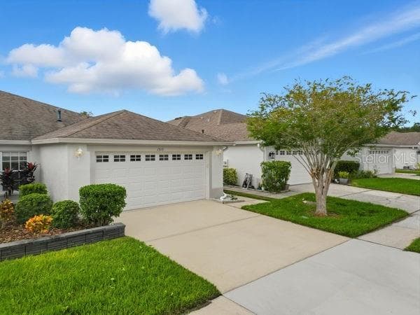1910 SASSAFRAS DRIVE WESLEY CHAPEL, FL 33543