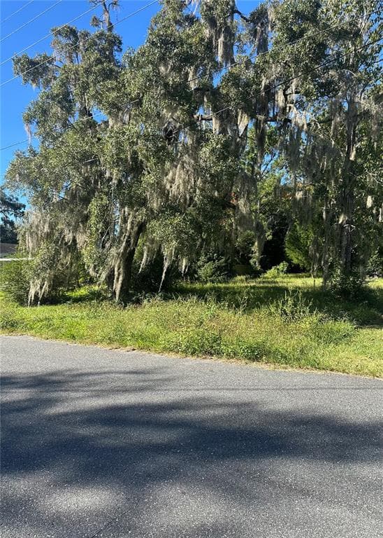 Lot 8 NE 1ST STREET WILLISTON, FL 32696