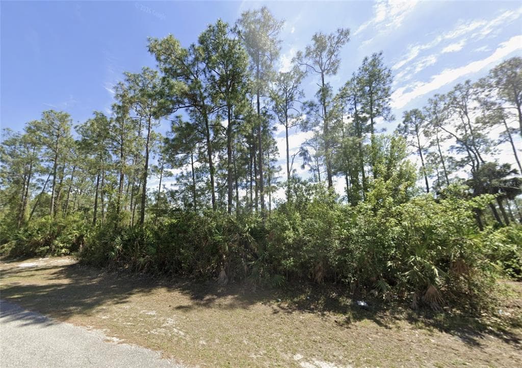 2904 E 9TH STREET LEHIGH ACRES, FL 33972