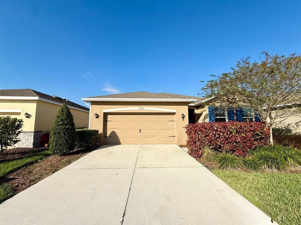 31591 TANSY BEND WESLEY CHAPEL, FL 33545