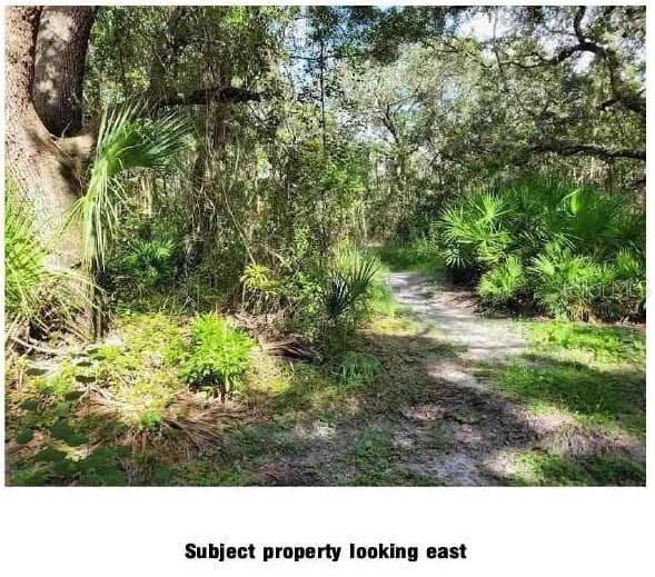 LANTANA AVENUE CLEARWATER, FL 33755