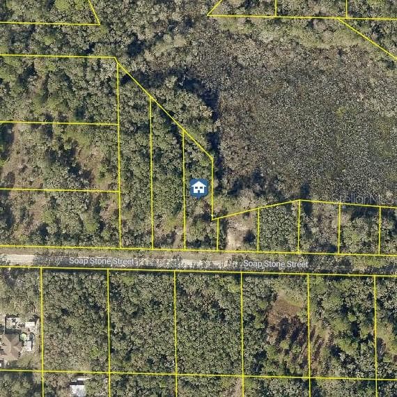 LOT 37 SOAP STONE STREET WEBSTER, FL 33597