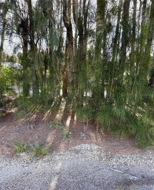 0 JILLS LANE ARIPEKA, FL 34679
