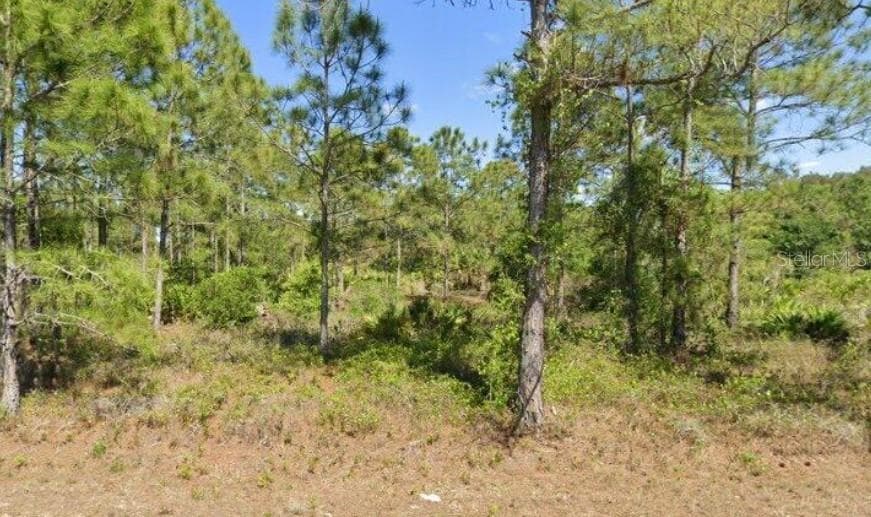 1402 EDISON AVENUE LEHIGH ACRES, FL 33972