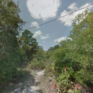 HEDGES STREET NEW PORT RICHEY, FL 34654