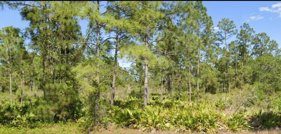 1406 EDISON AVENUE LEHIGH ACRES, FL 33972
