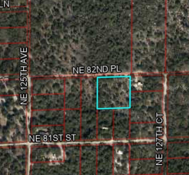 12790 NE 82ND PL BRONSON, FL 32621