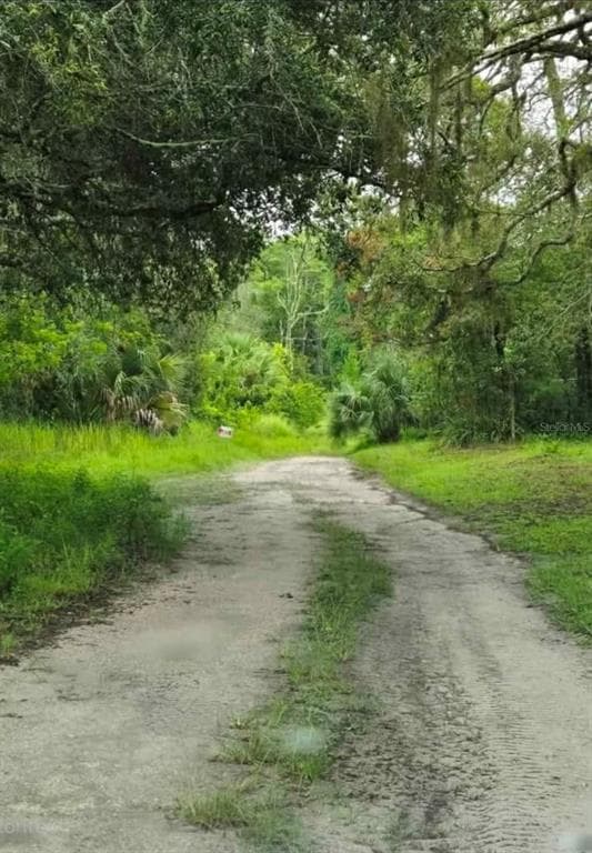 LADD AVENUE NEW PORT RICHEY, FL 34654