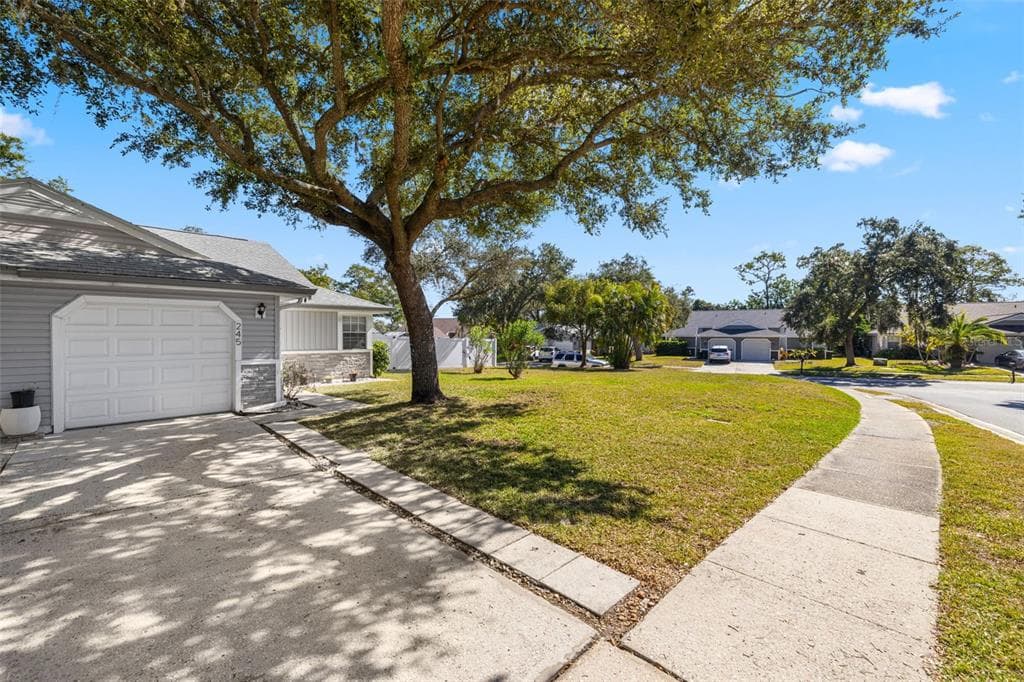 245 PETREA DRIVE PALM HARBOR, FL 34684