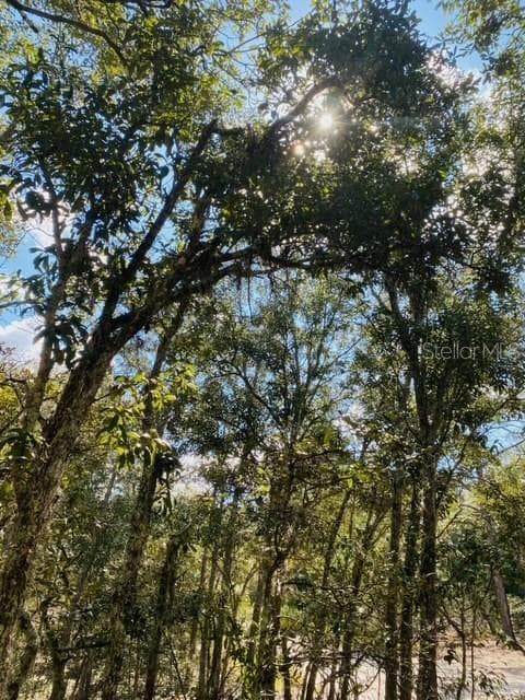 COYOTE ROAD HUDSON, FL 34667