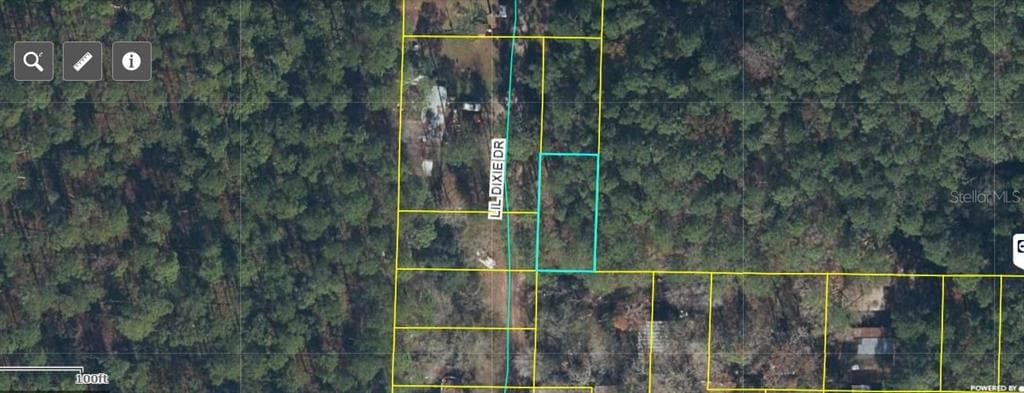 17847 LIL DIXIE DRIVE SANDERSON, FL 32087