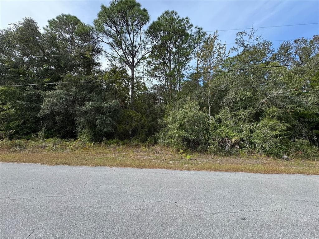 2830 S BOLTON AVENUE HOMOSASSA, FL 34448