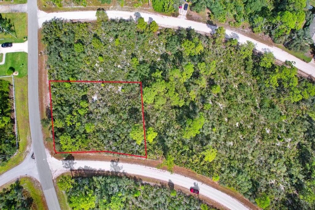 1177 LAKE HILL DRIVE LAKE PLACID, FL 33852