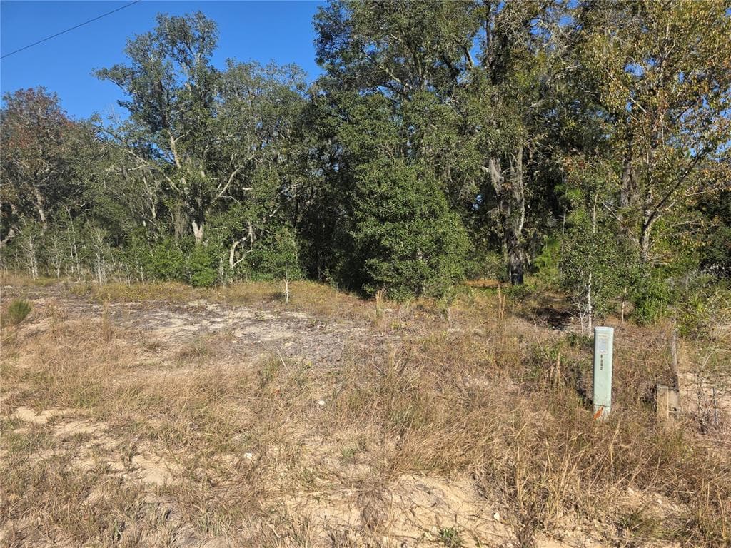Lot 31 SW VIBURNUM ROAD DUNNELLON, FL 34431
