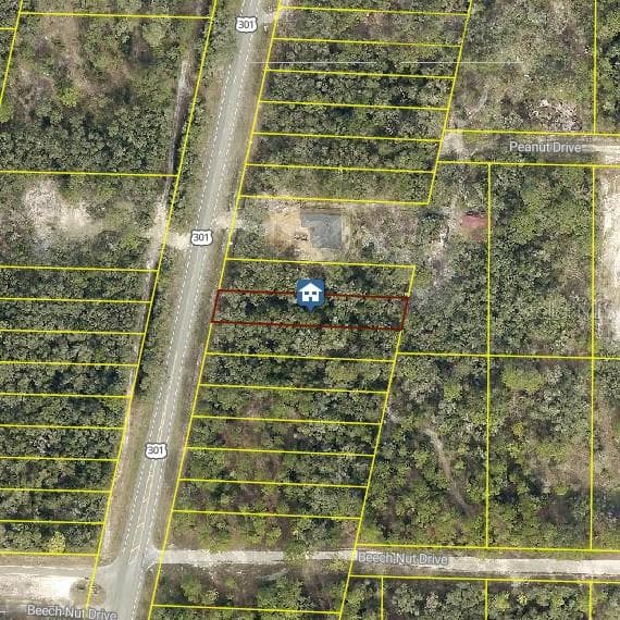 LOT 28 TREIMAN BOULEVARD WEBSTER, FL 33597