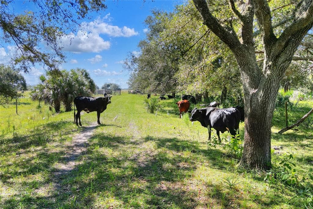 46891 FARABEE ROAD PUNTA GORDA, FL 33982