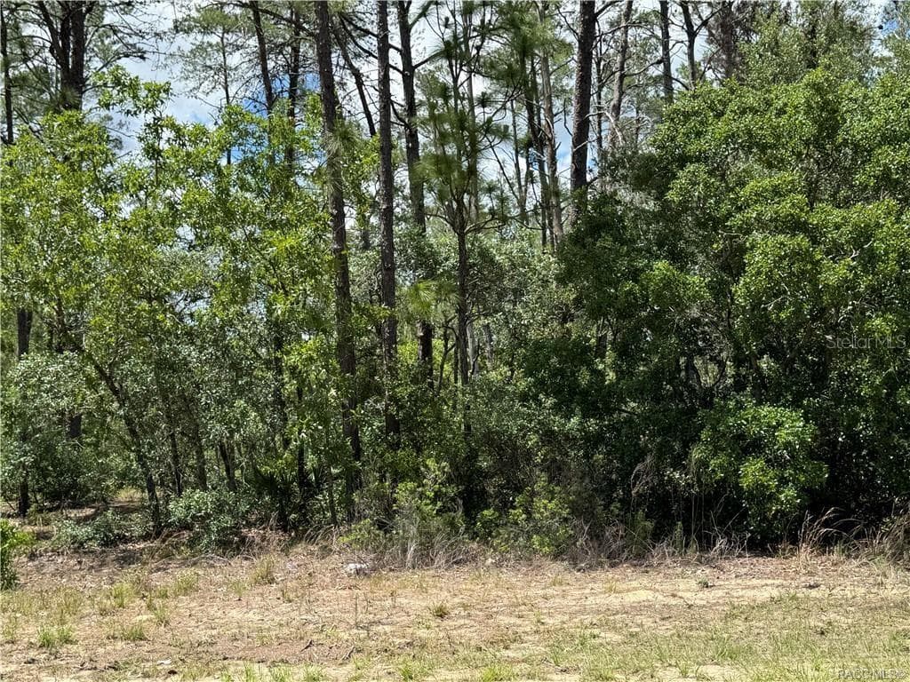 8959 N FARRINGTON DRIVE CITRUS SPRINGS, FL 34433