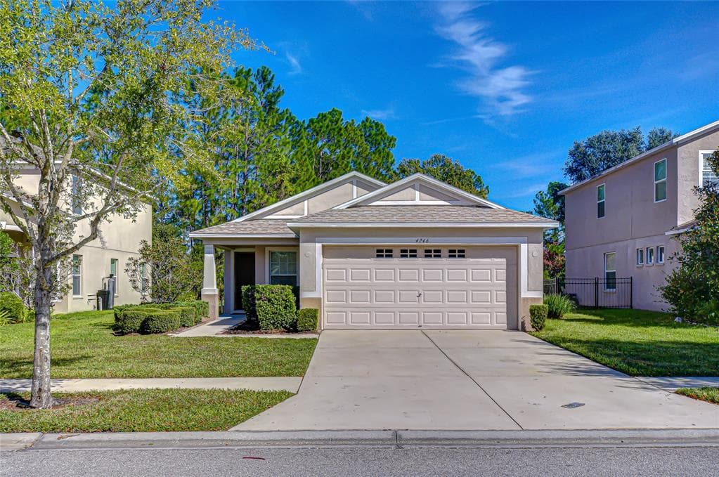 4246 WARWICK HILLS DRIVE WESLEY CHAPEL, FL 33543