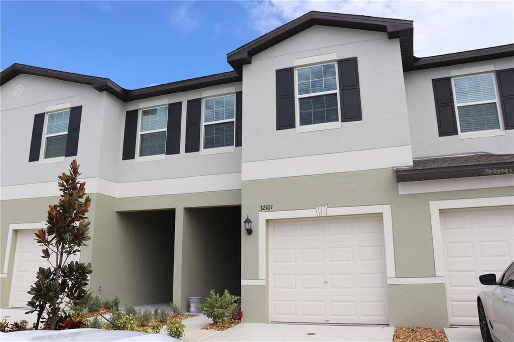 32101 POWDERPUFF MIMOSA DRIVE SAN ANTONIO, FL 33576