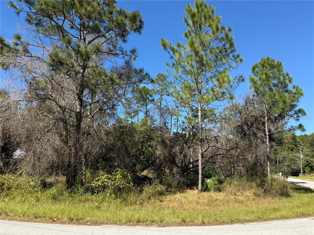 27975 ROBIN ROOST LANE WESLEY CHAPEL, FL 33544
