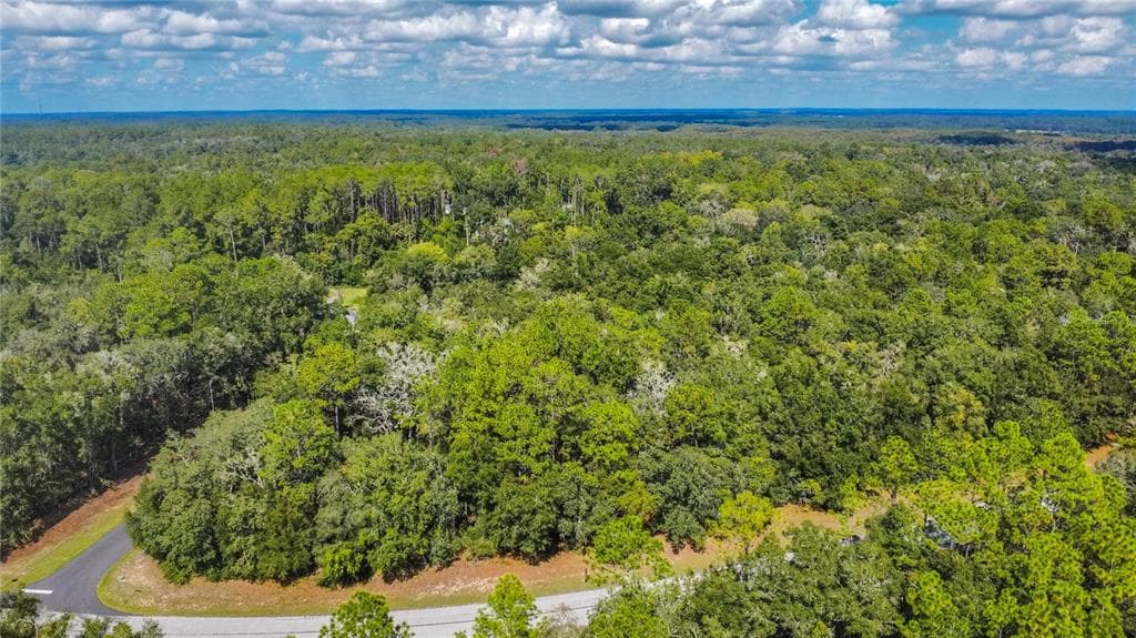 10227 N ATHENIA DRIVE CITRUS SPRINGS, FL 34434