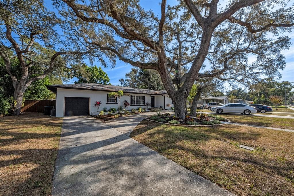 505 CASLER AVENUE CLEARWATER, FL 33755