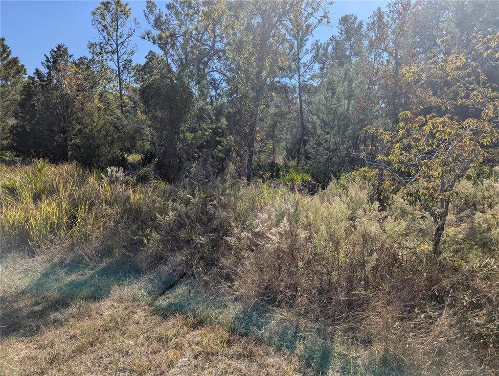 11228 FOOL DUCK AVENUE WEEKI WACHEE, FL 34613